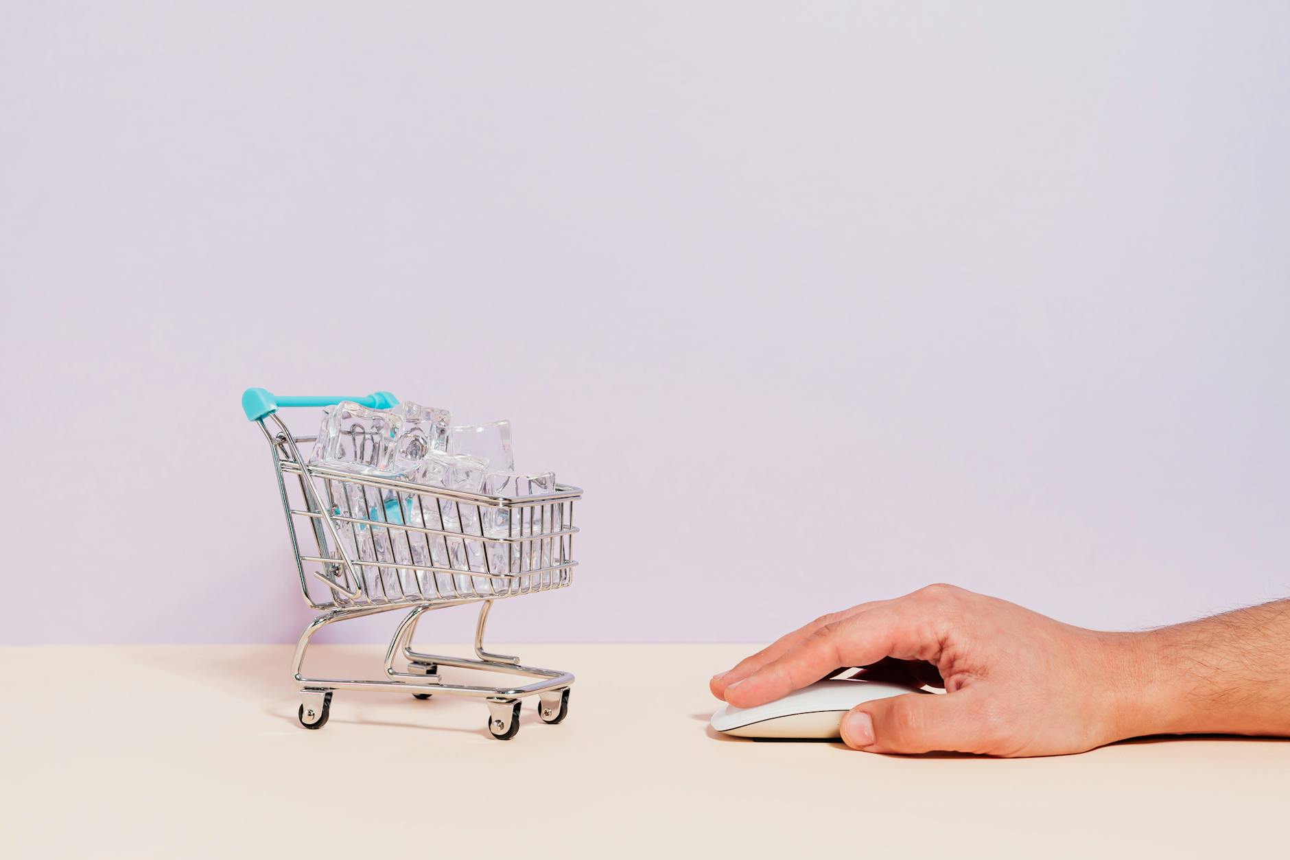 Shopping online e-commerce business