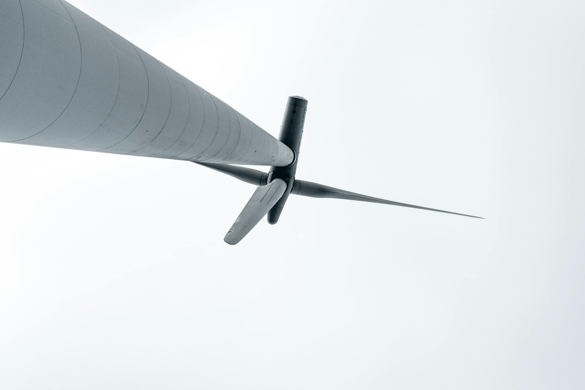 Energia rinnovabile aziendale e green IT