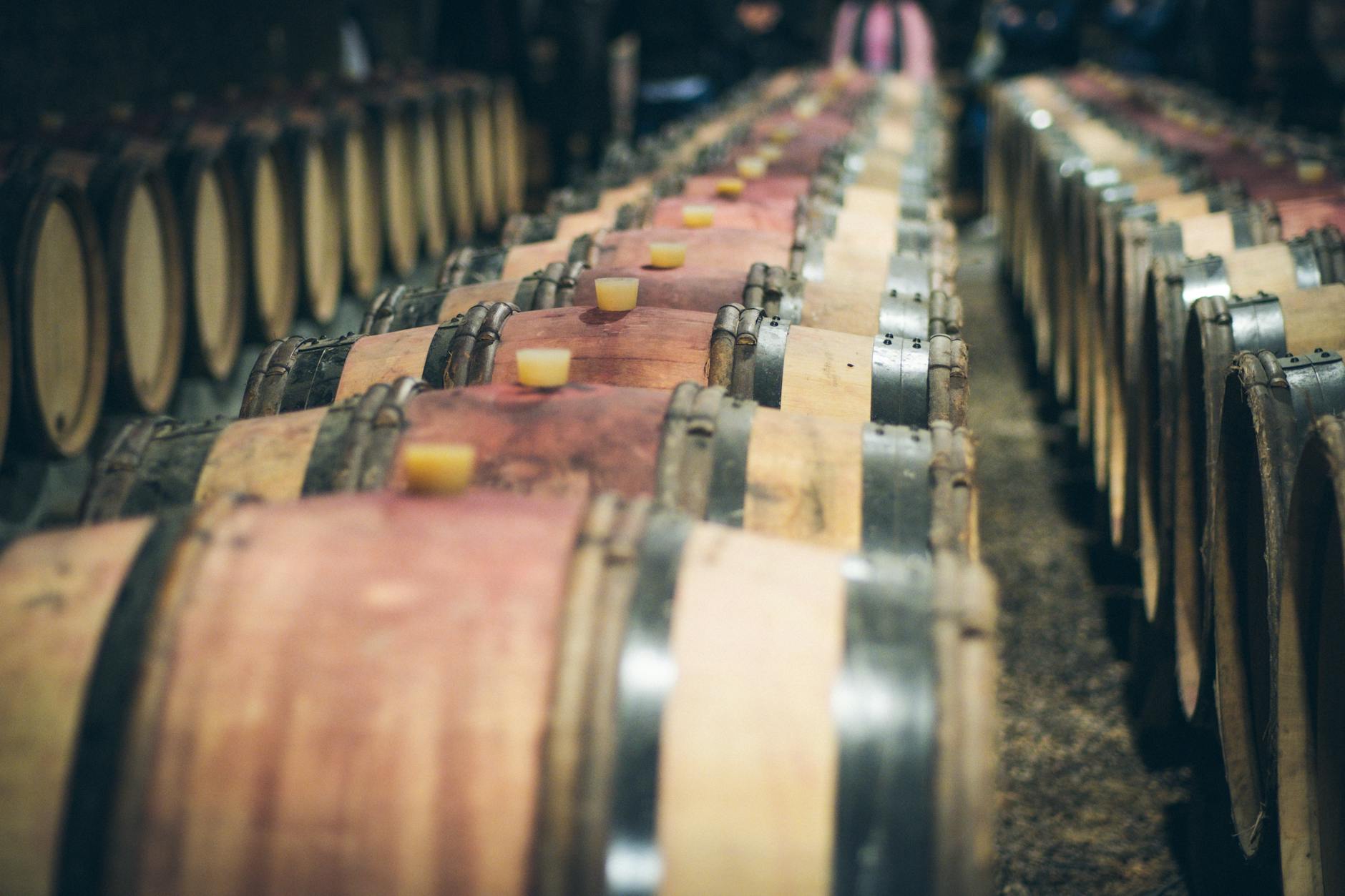 Cantina vinicola con botti tradizionali italiane
