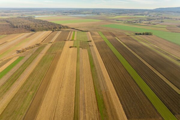 Software gestionale per aziende agricole italiane: scelta PMI agritech 2022
