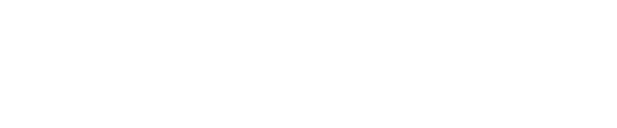 Logo BrentaSoft