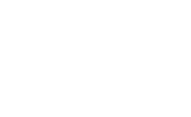 BrentaSoft: Logo verticale bianco